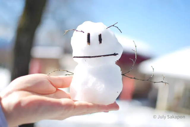 【さかぽんの大冒険】やってしまった冬山登の画像_10