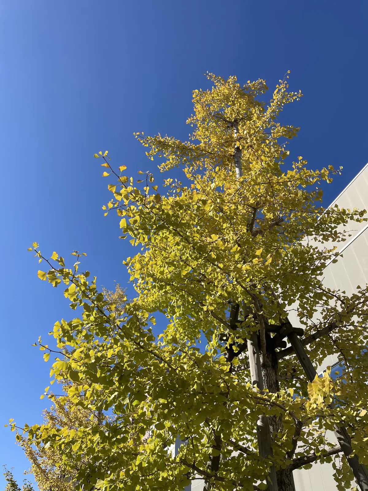 やっとやっと！スポーツの秋♪の画像_1