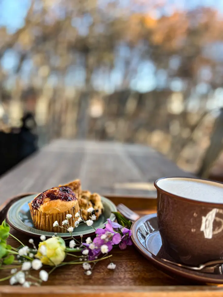 【さかぽんの冒険】ヴィーガンcafeへ☆の画像_11