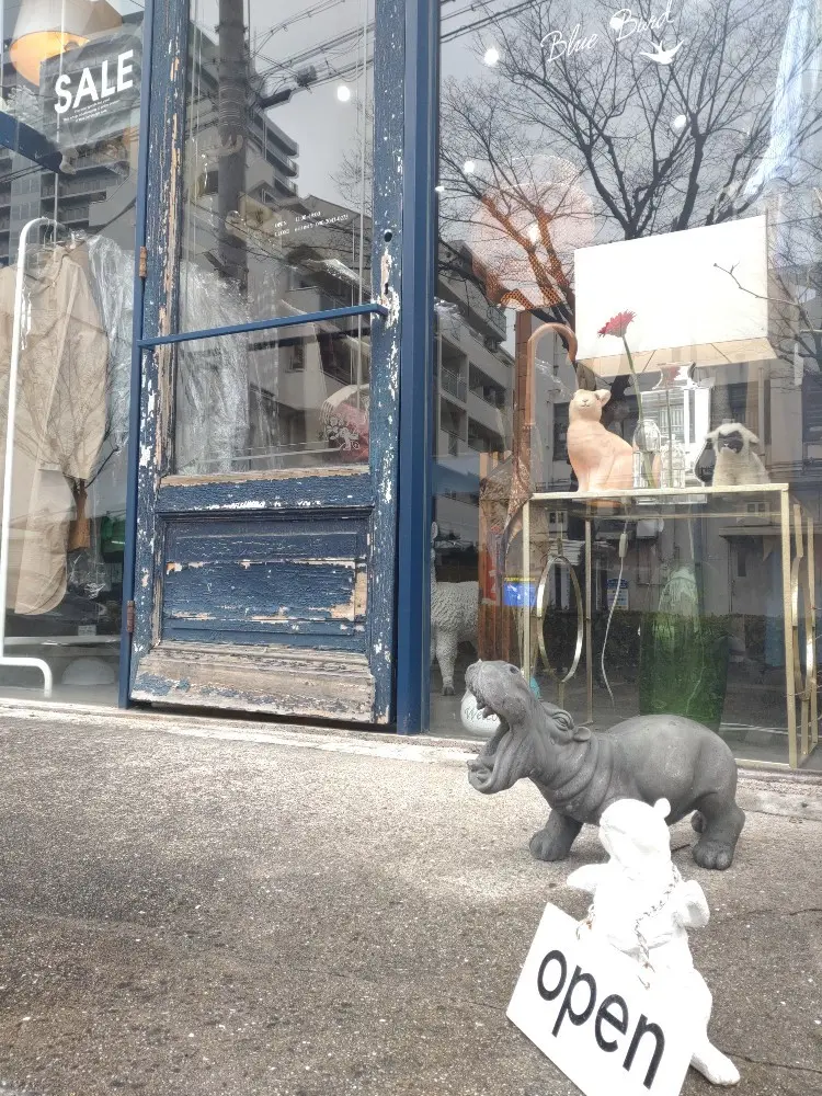 雨の日でも前を向いて進んで行こうの画像_5