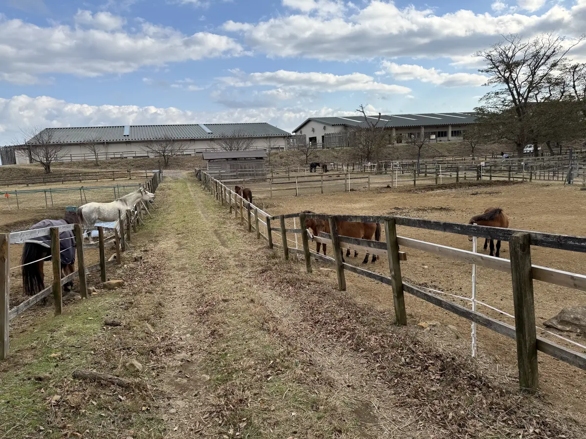 伊豆ホース・カントリー