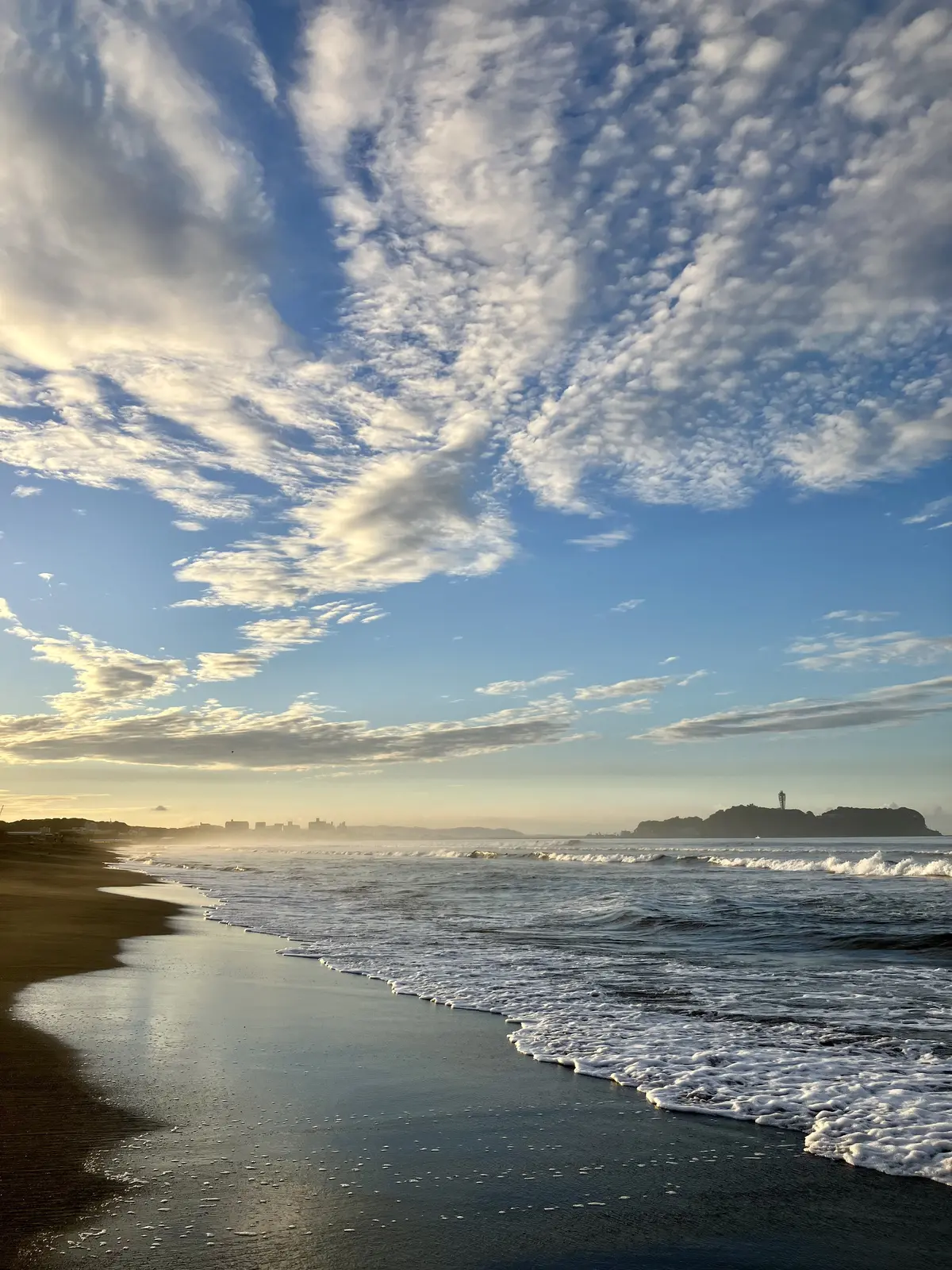 朝活スタートしました♪の画像_11