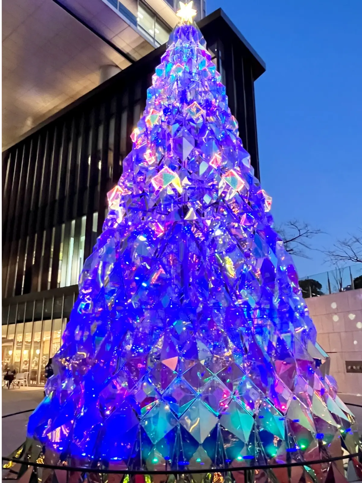 続・続・Jマダムメンバーとキラキラ観賞☆の画像_14