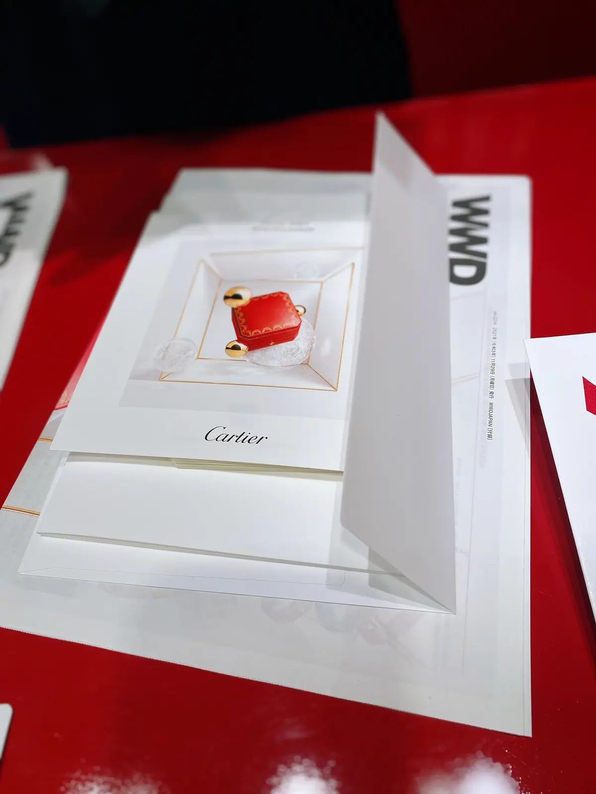 華やかなプリーツロングスカートで「Carの画像_7