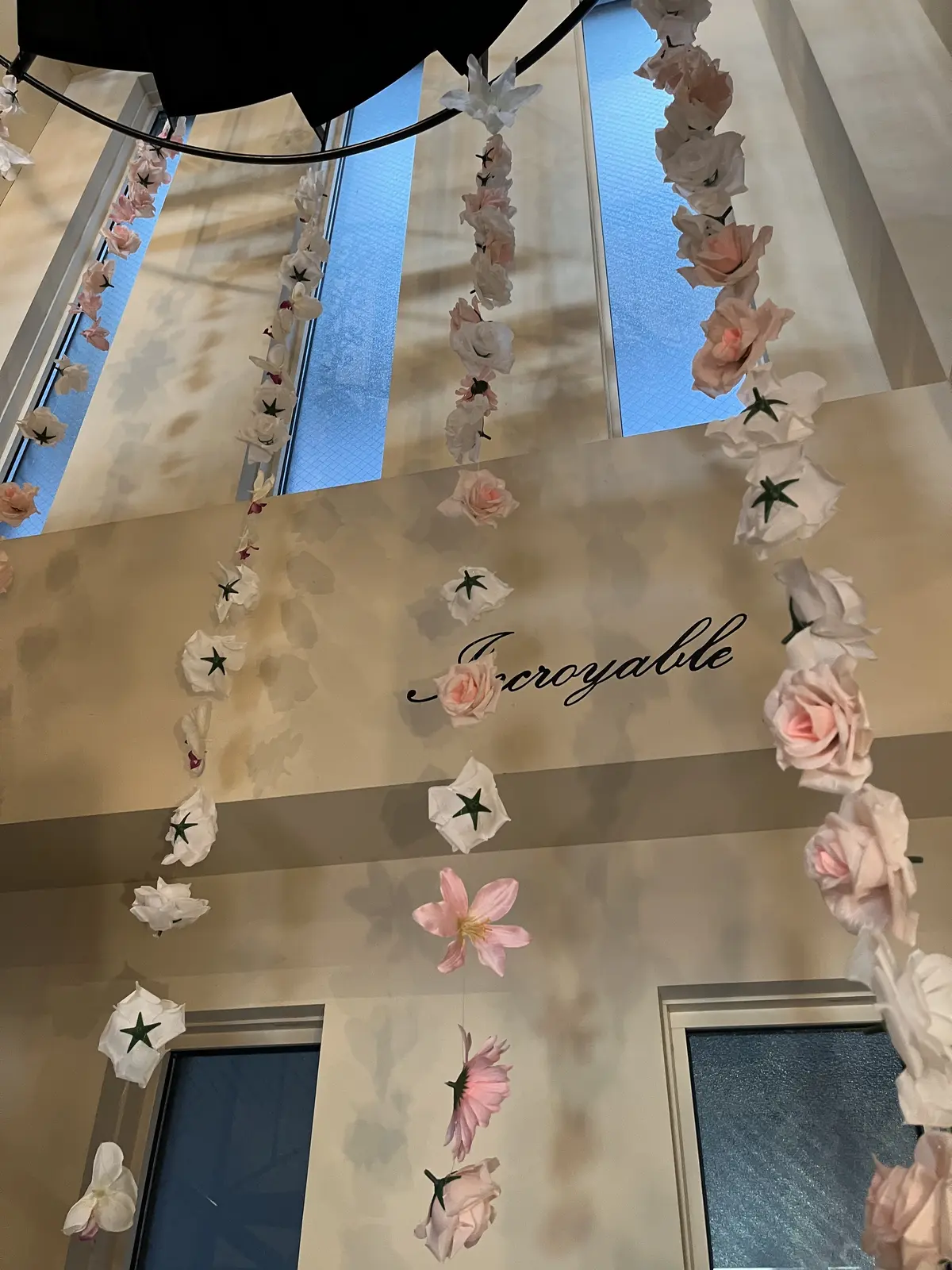 神楽坂の気になるお店への画像_4