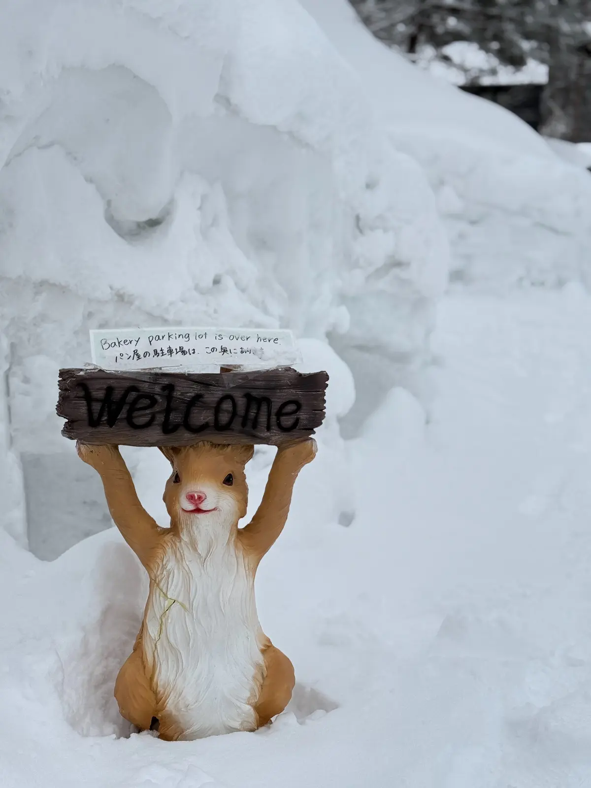 長野県　白馬村　カフェ　パン屋　サクララ　sakulala hakuba　看板