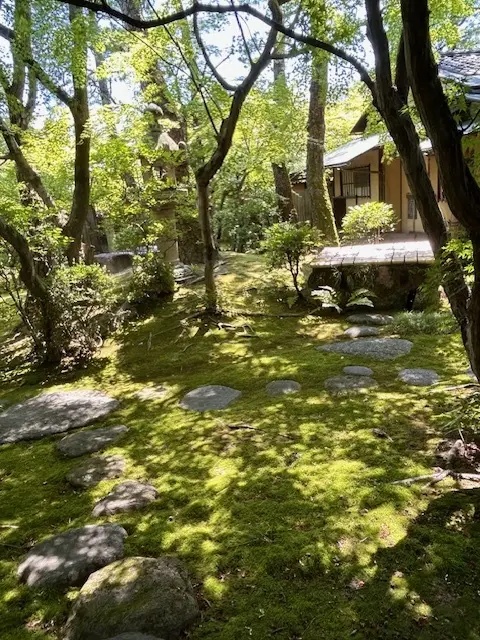 倉敷旅2日目はグリーンのパンツコーデで！の画像_8