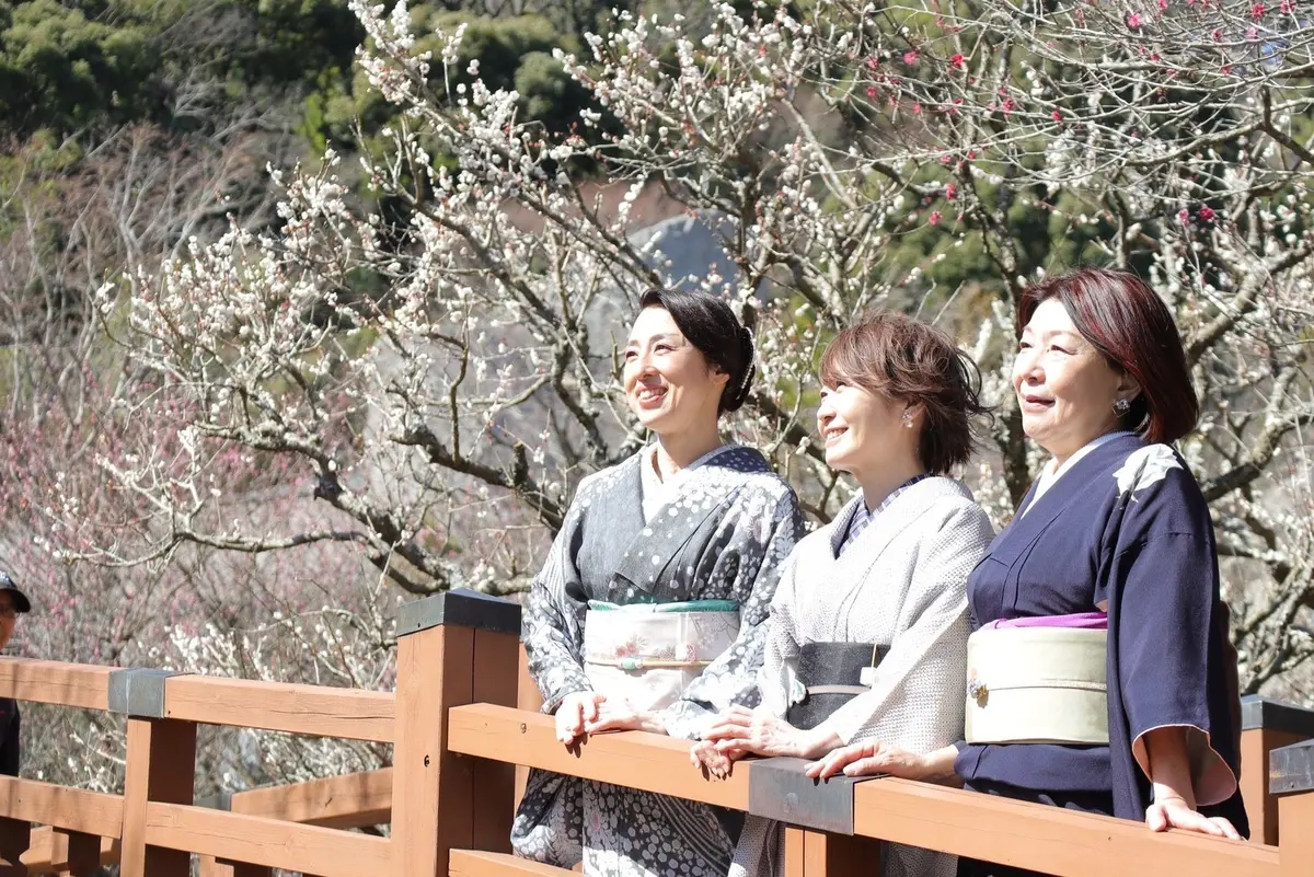 お着物はエイジレスなおしゃれ♪もっともっの画像_3