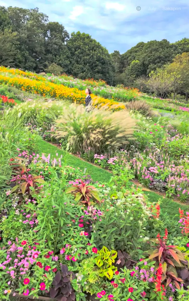 【秋薫る🍁フェス】里山ガーデンフェスタの画像_4