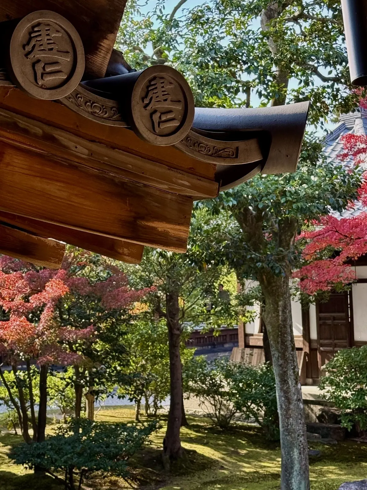 【大人の京都】寺院仏閣とお気に入りの秋のの画像_40