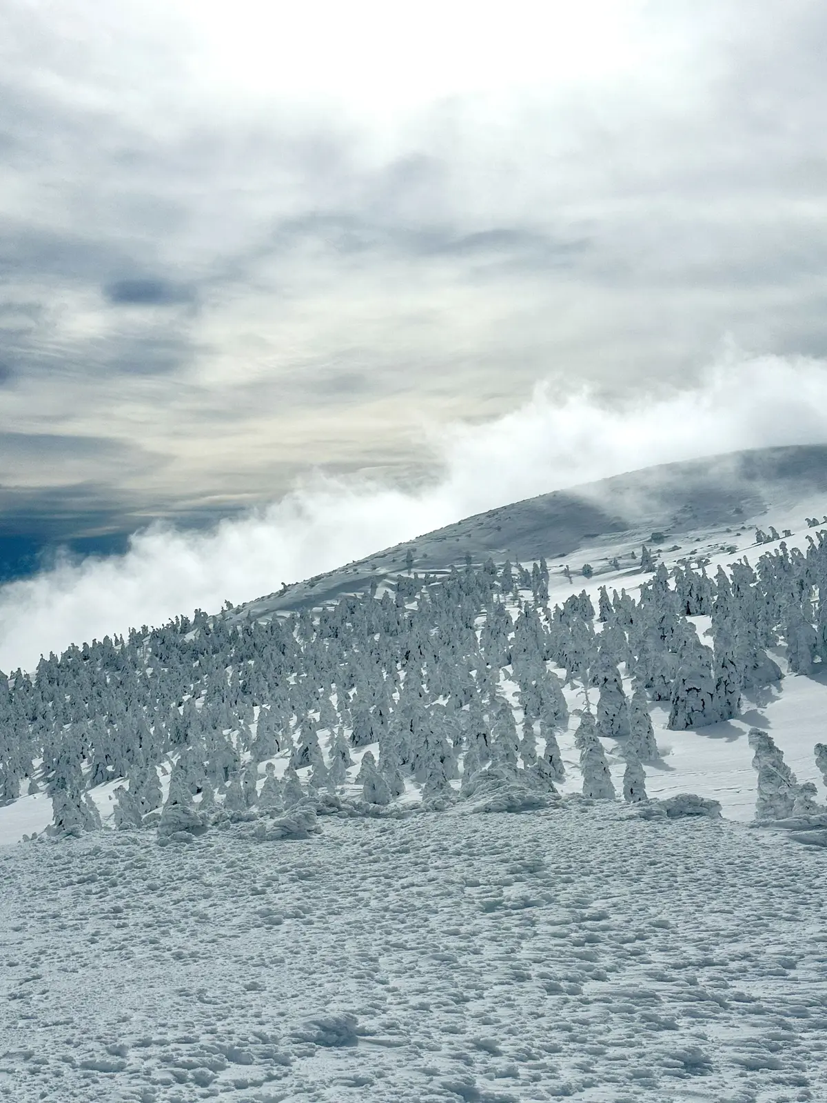 樹氷と美肌の湯を楽しむ♡山形県蔵王への旅の画像_11