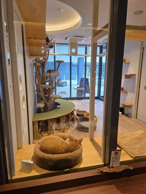 鎌田醤油のカフェでランチの画像_4