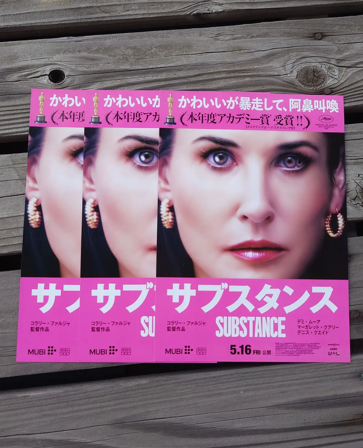 サブスタンス映画チラシ