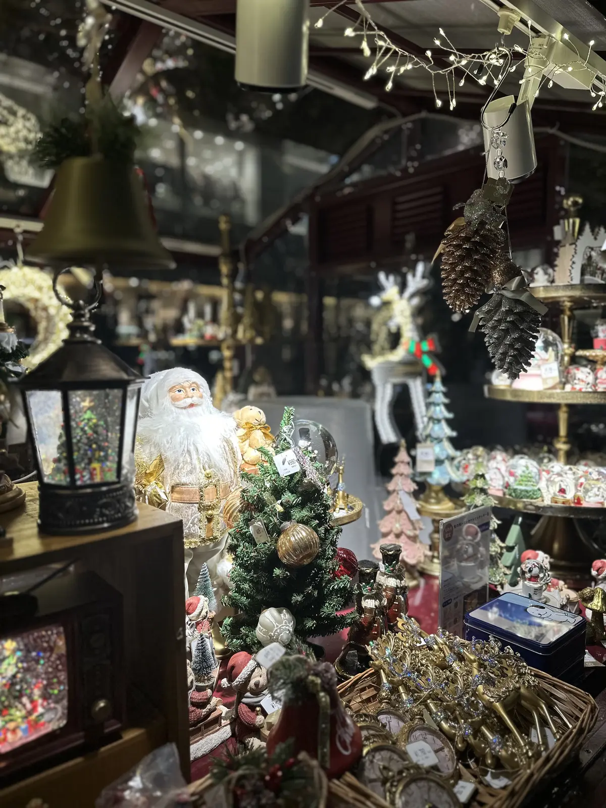 師走の丸の内からの画像_5