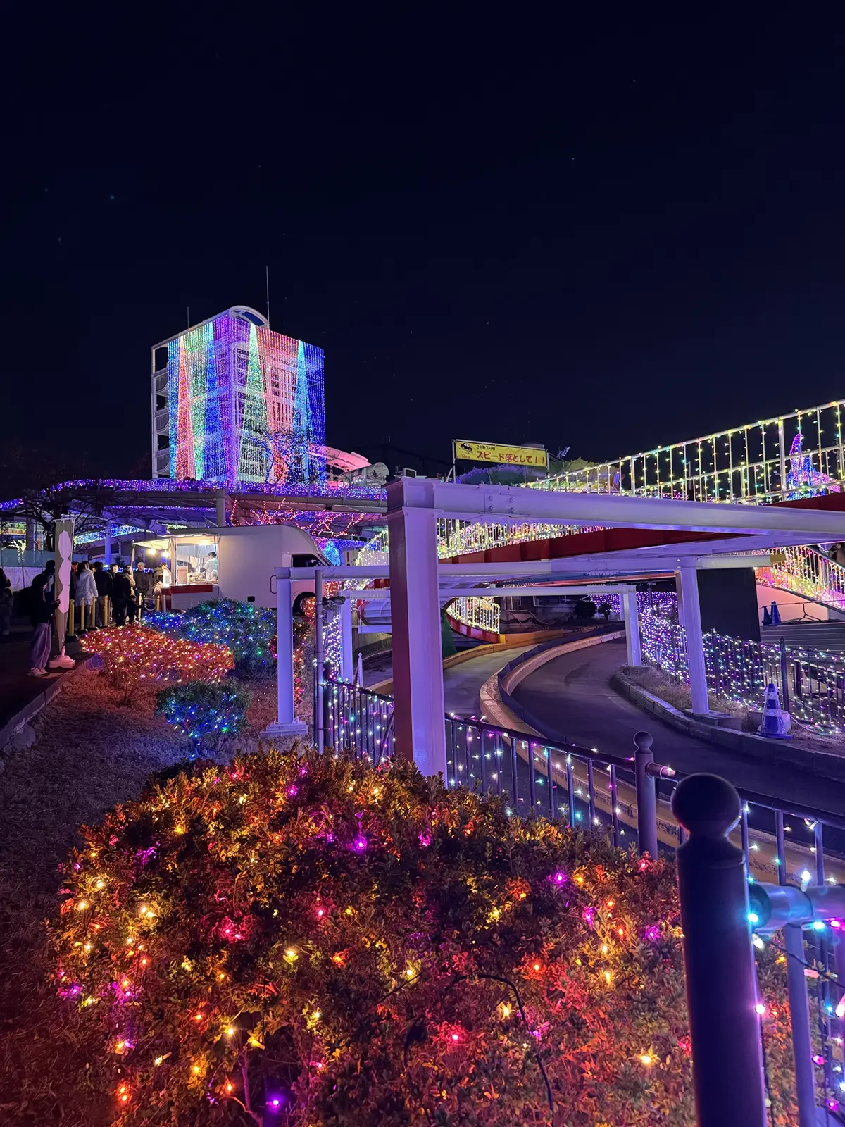 この冬見たい、心に残る東京イルミネーショの画像_8