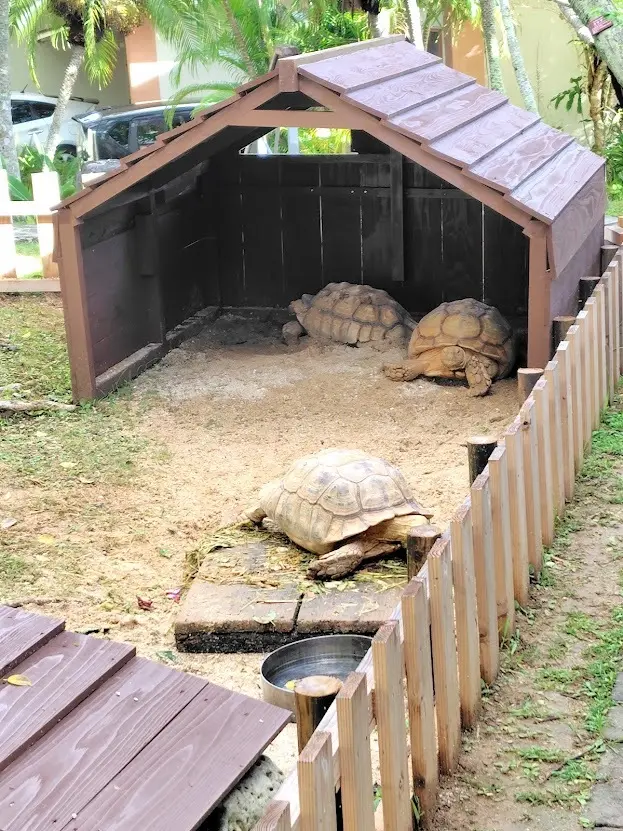 秋の沖縄週末旅① 癒やされ和むホテル編の画像_4