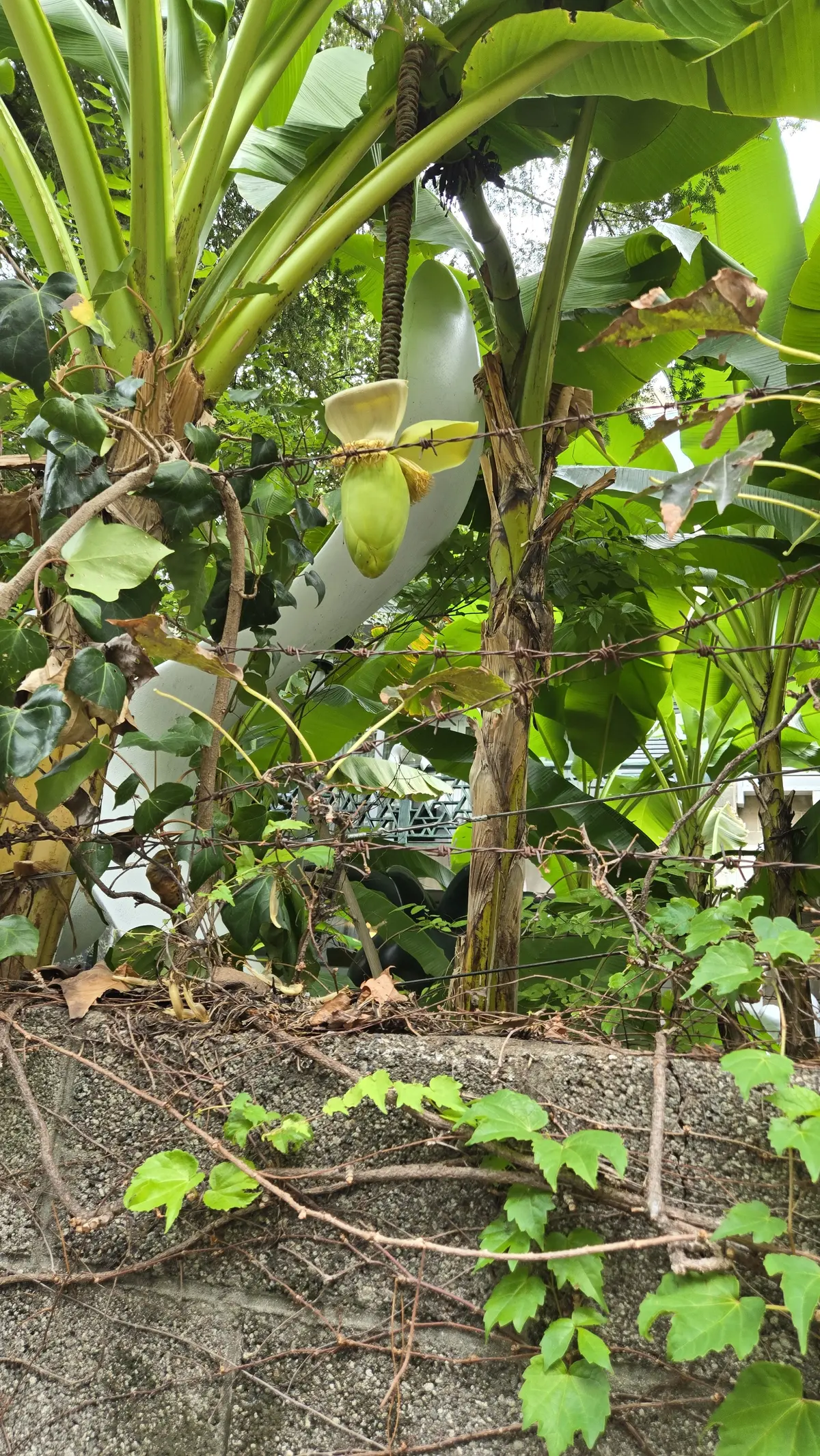 岡本太郎記念館