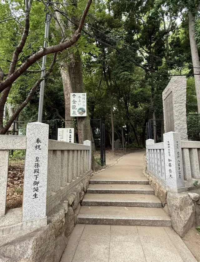 緑に染まる生田の森と赤に染まる生田神社。の画像_3