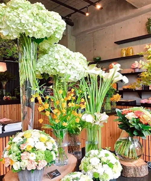 笑顔を運んでくれる ニコライ・バーグマンの画像_1