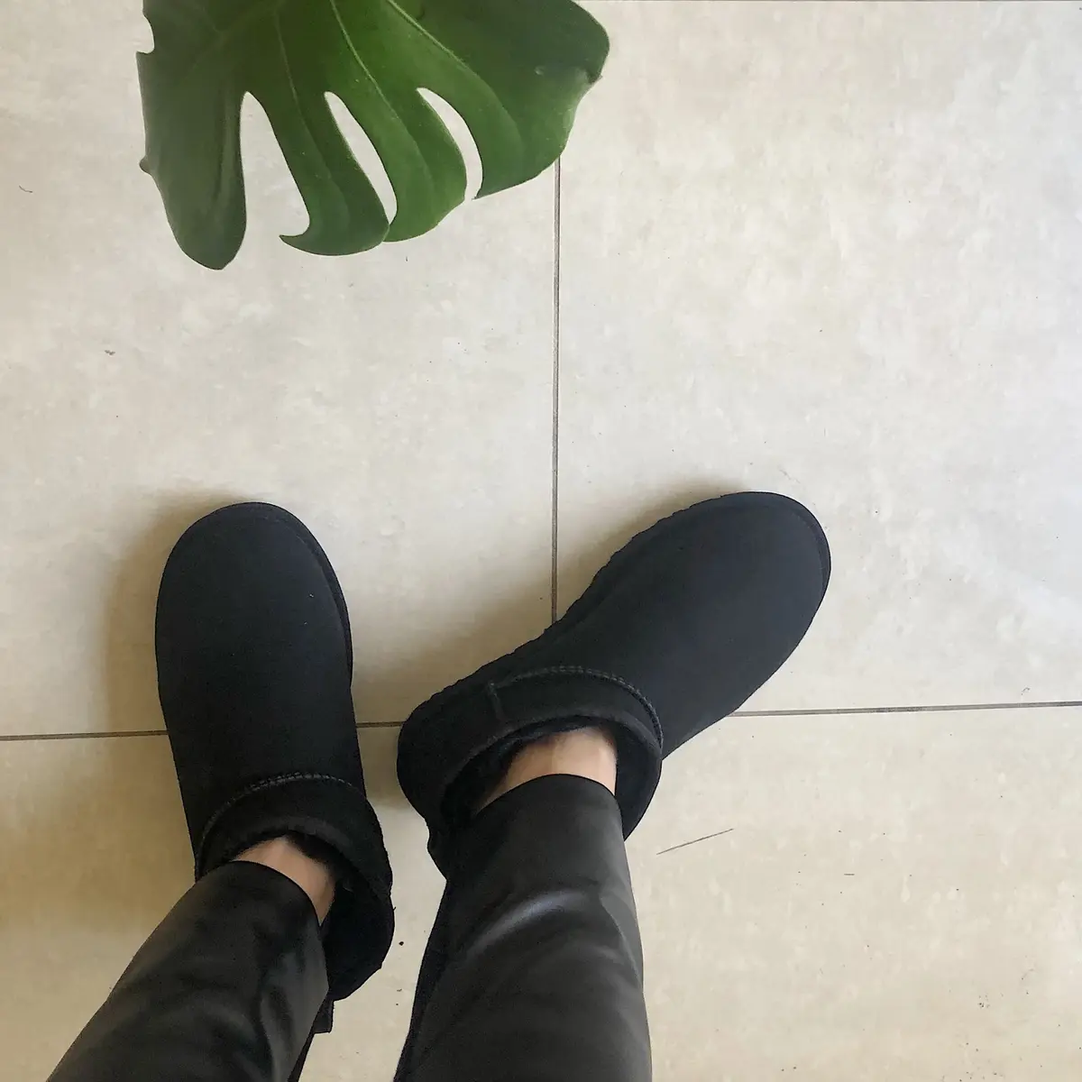 パワースポット神社へ初詣の画像_5