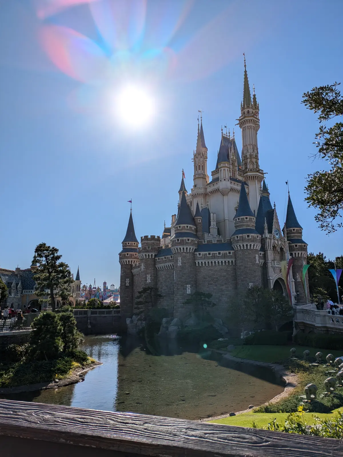 ２０２４年クリスマス直前！！【東京ディズの画像_7