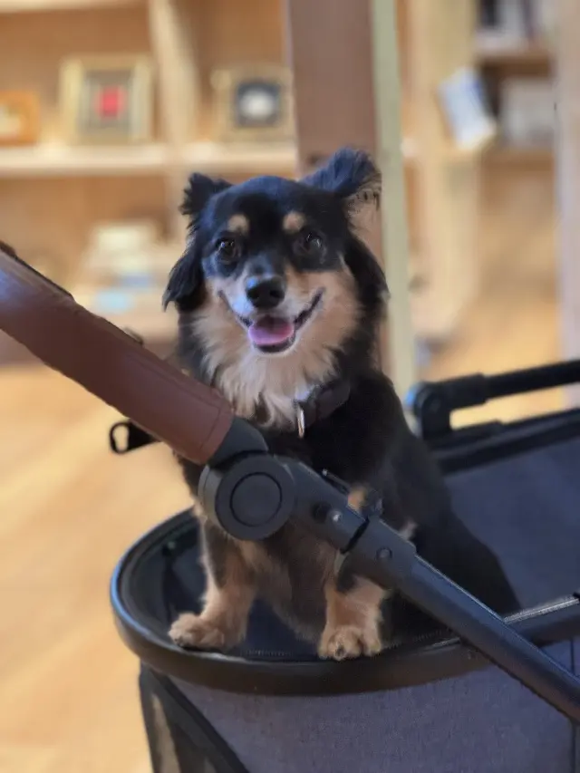 おいしい時間をめぐる、大人の軽井沢　パーの画像_7