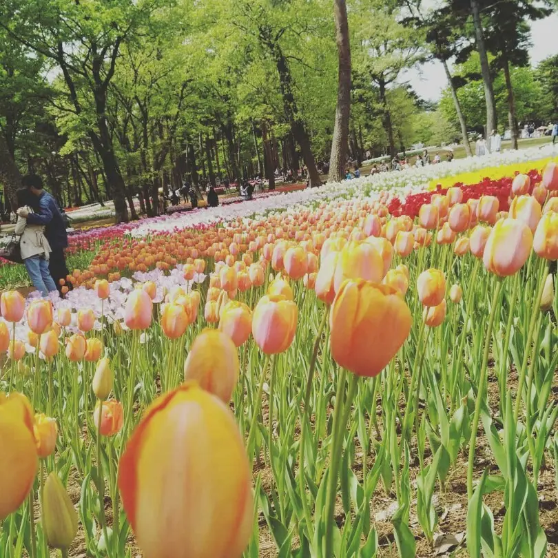 令和もよろしくお願いします！の画像_3