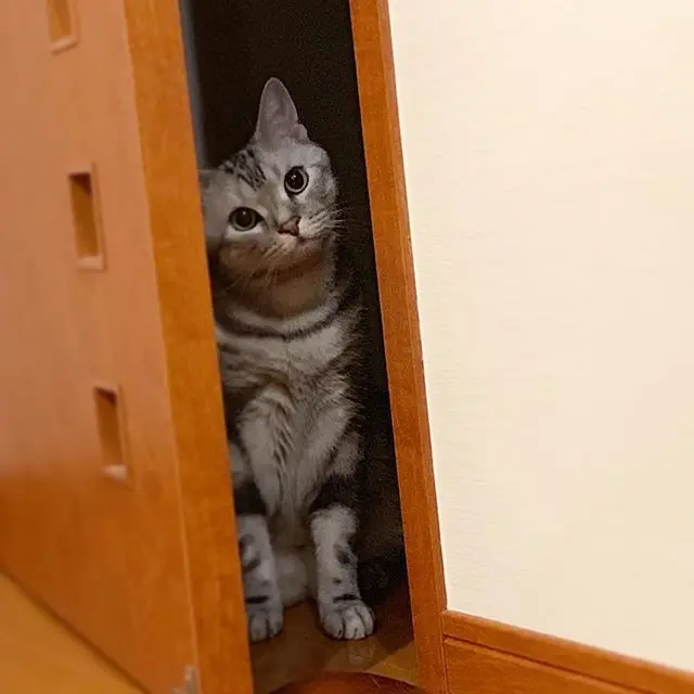 のぞき見しちゃうよの画像_2