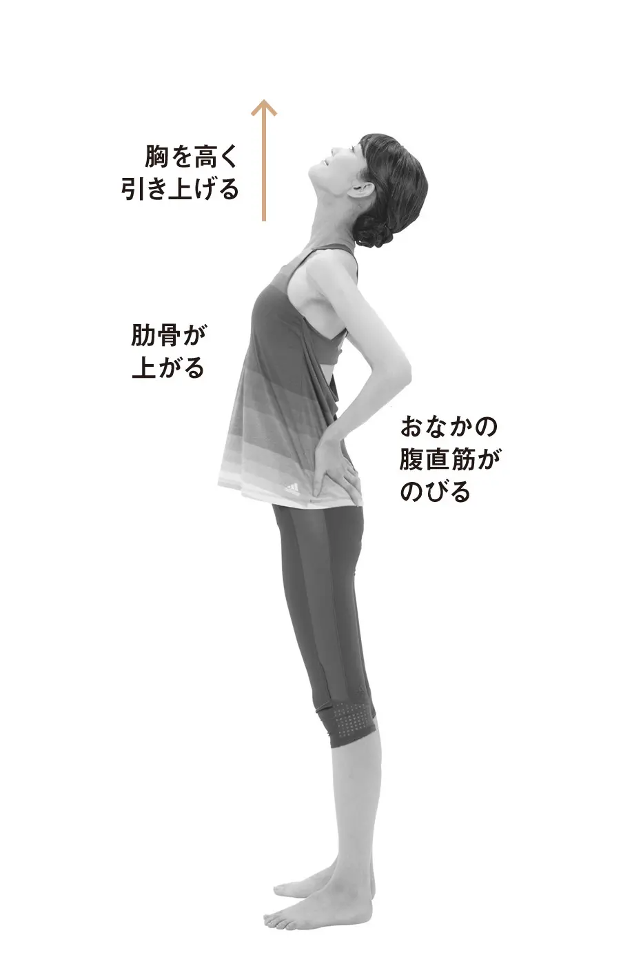 しなやかな体をつくる 若返りストレッチ五の画像_8