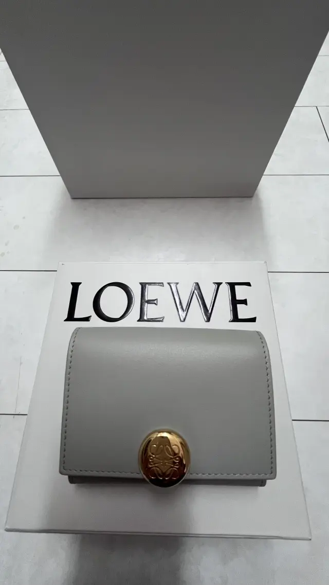 ロエベの気になるスモールウォレットの画像_13