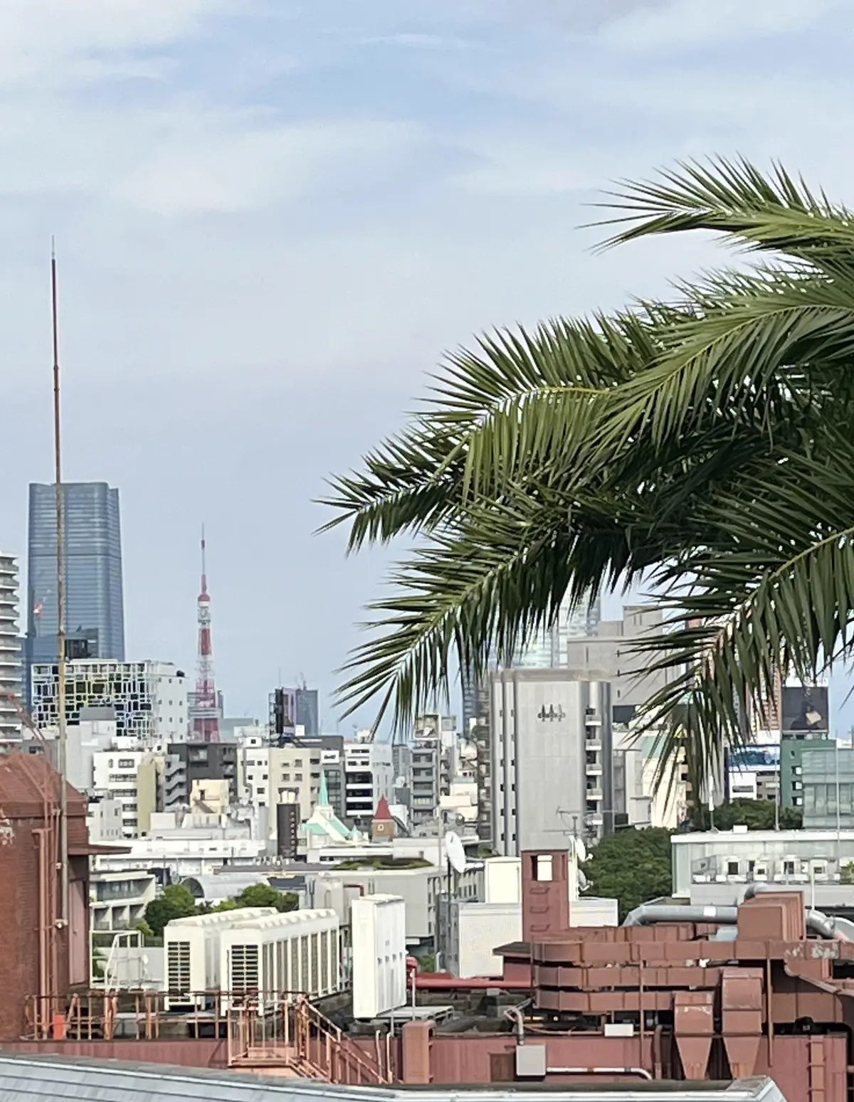 平日の原宿へ②の画像_12