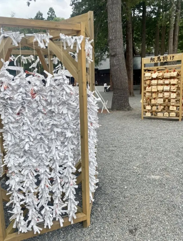 自然の中で、のんびりと過ごすことの贅沢✨の画像_10