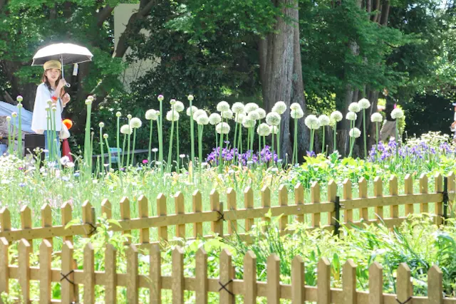 【さかぽんの大冒険】富士は日本一の山☆@の画像_3