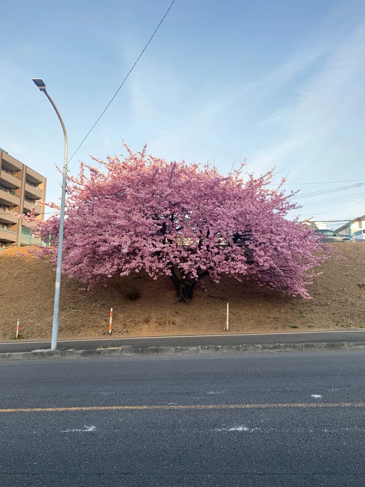 『春からjマダム4年生♪』の画像_2