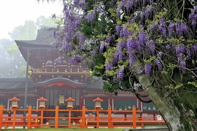 奈良・春日大社