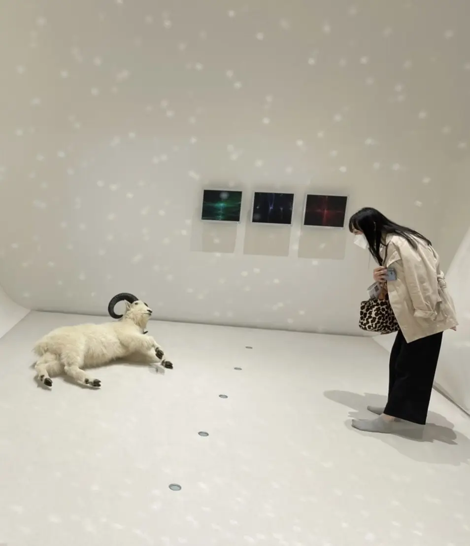 アートに話しかけるオサニャイ