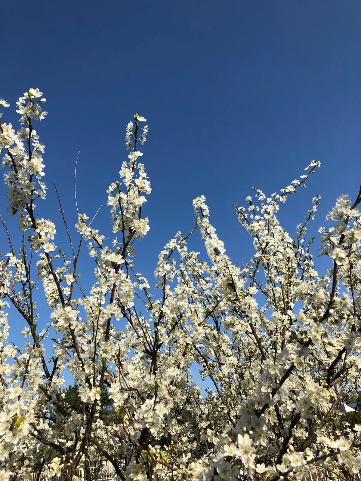 大切にしている事〜健康編〜(ランニング)の画像_6