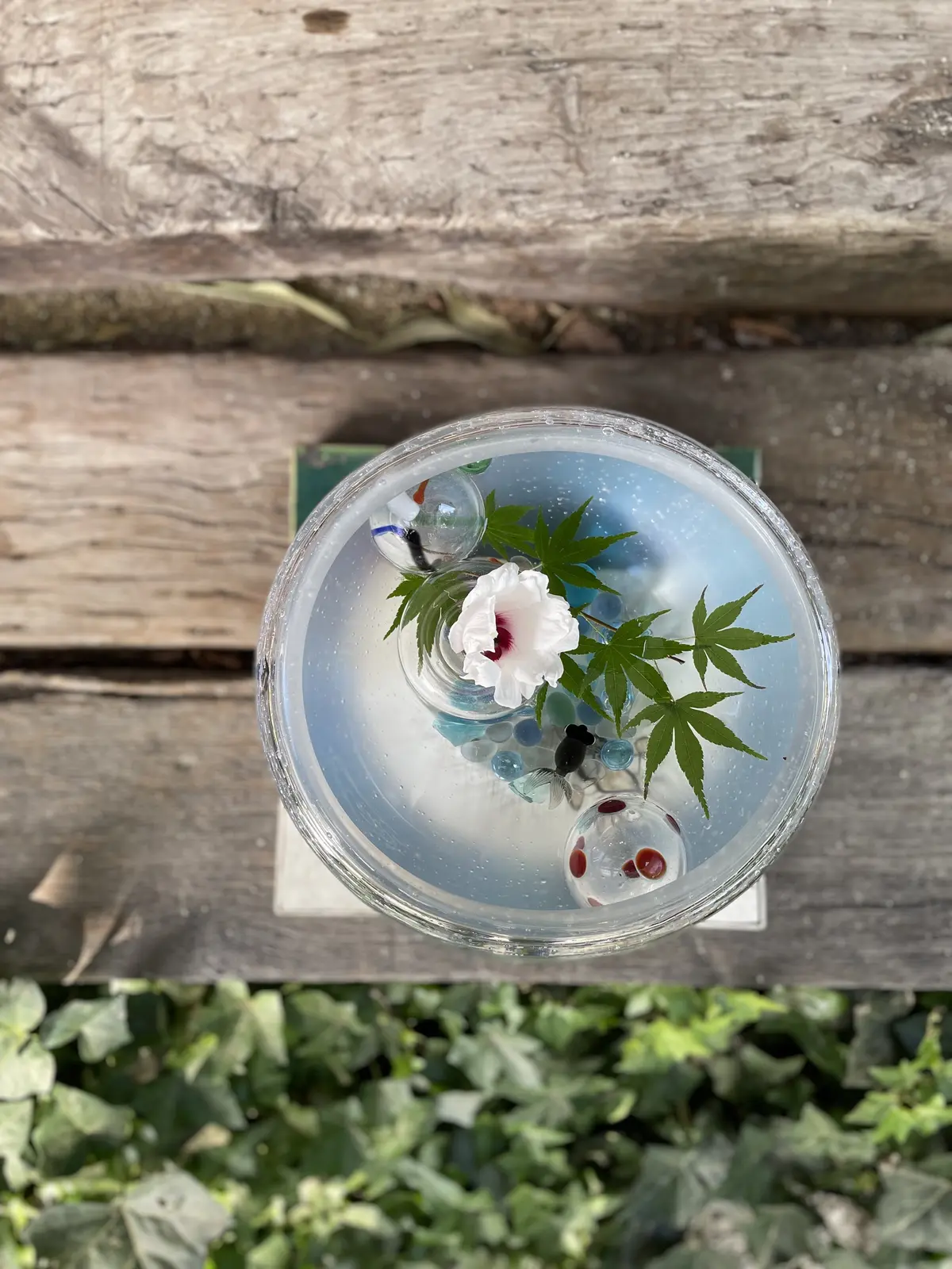 日本一暑い街。岐阜県多治見市に潜入の画像_9