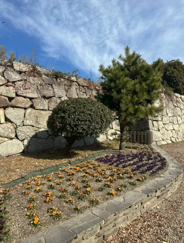 青空で明石城。の画像_9