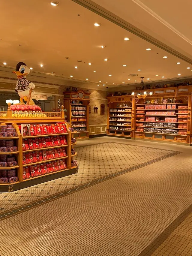 ここ最近のディズニーランドの画像_5