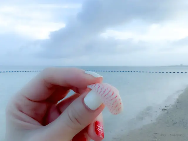 【さかぽんの冒険】旅する帽子☆沖縄トリッの画像_2