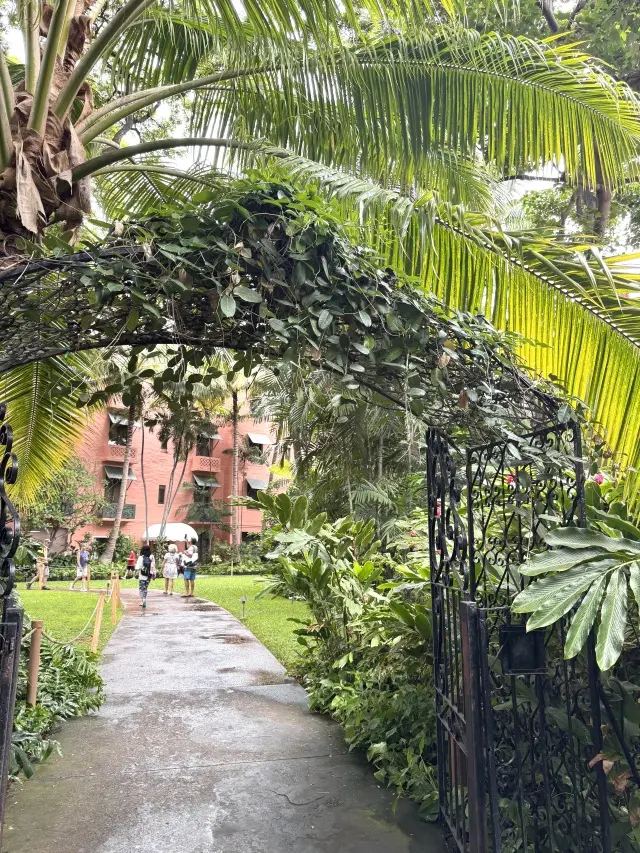 【HAWAII 】ハワイでの美活♡やはりの画像_4