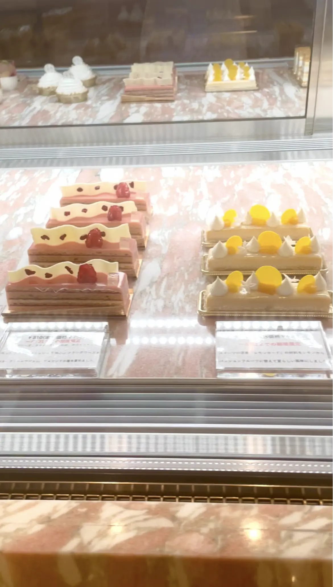 東京会舘、TOKYO KAIKAN、東京会舘本舘、スイーツ&ギフト、SWEETS & GIFT、夏限定商品、季節限定商品、期間限定スイーツ、ルージュ・オペラ、パッションフルーツとマンゴーのクリームタルト