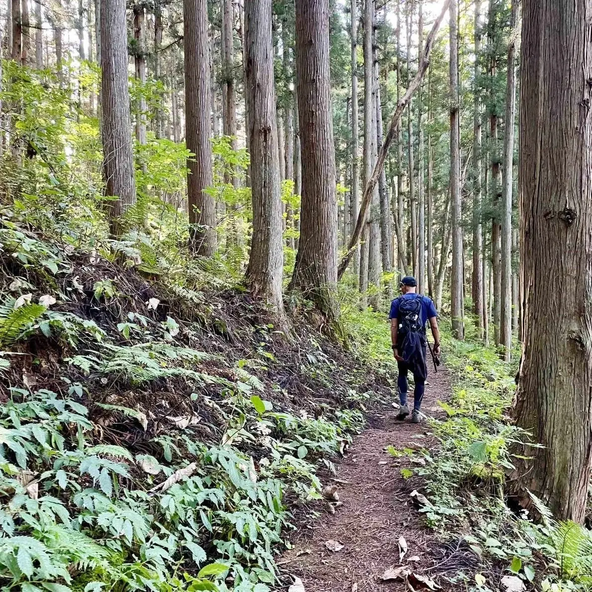 姫川源流自然探勝園