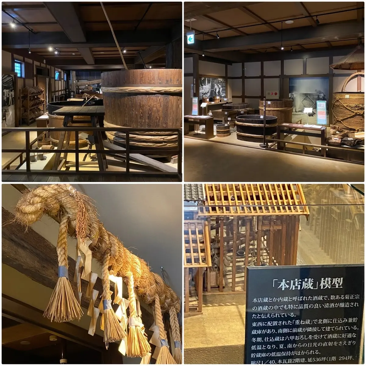 六甲山から流れる清流住吉川の散歩道を歩いの画像_3