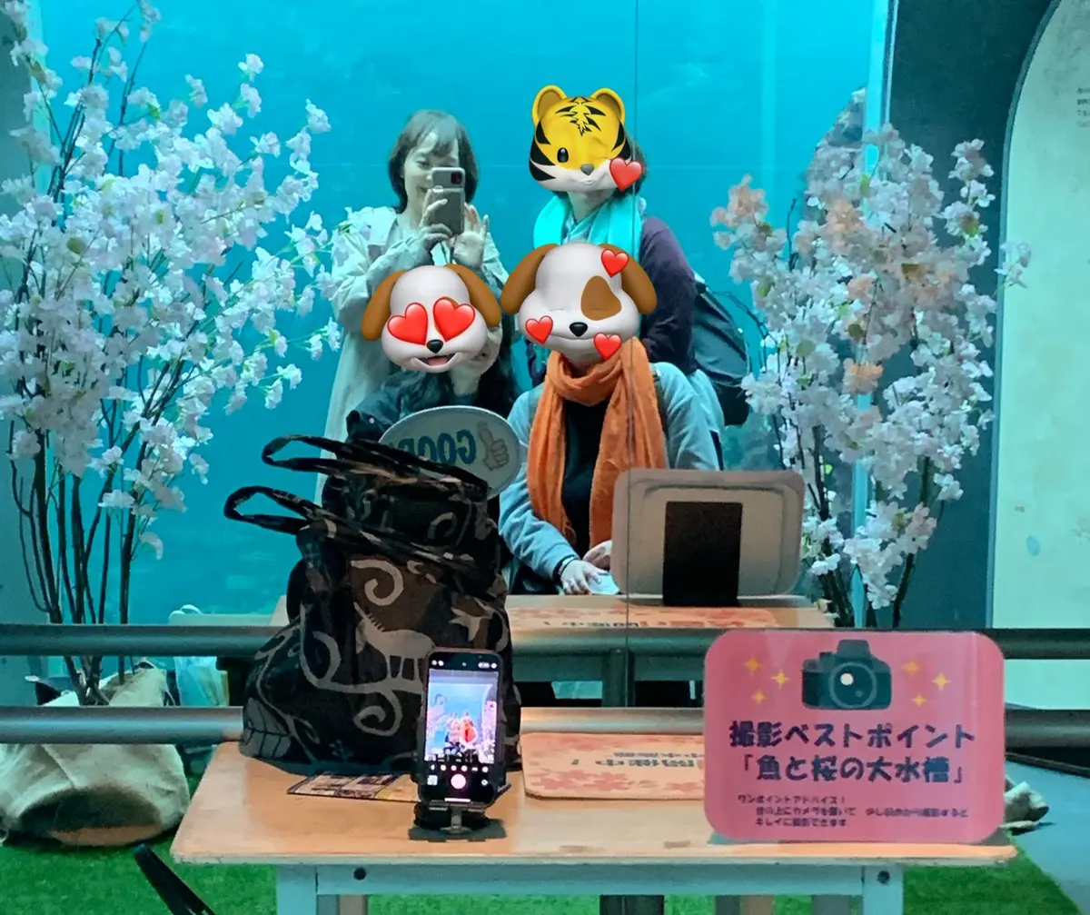 下田海中水族館のフォトスポットで記念写真を撮る女性4人