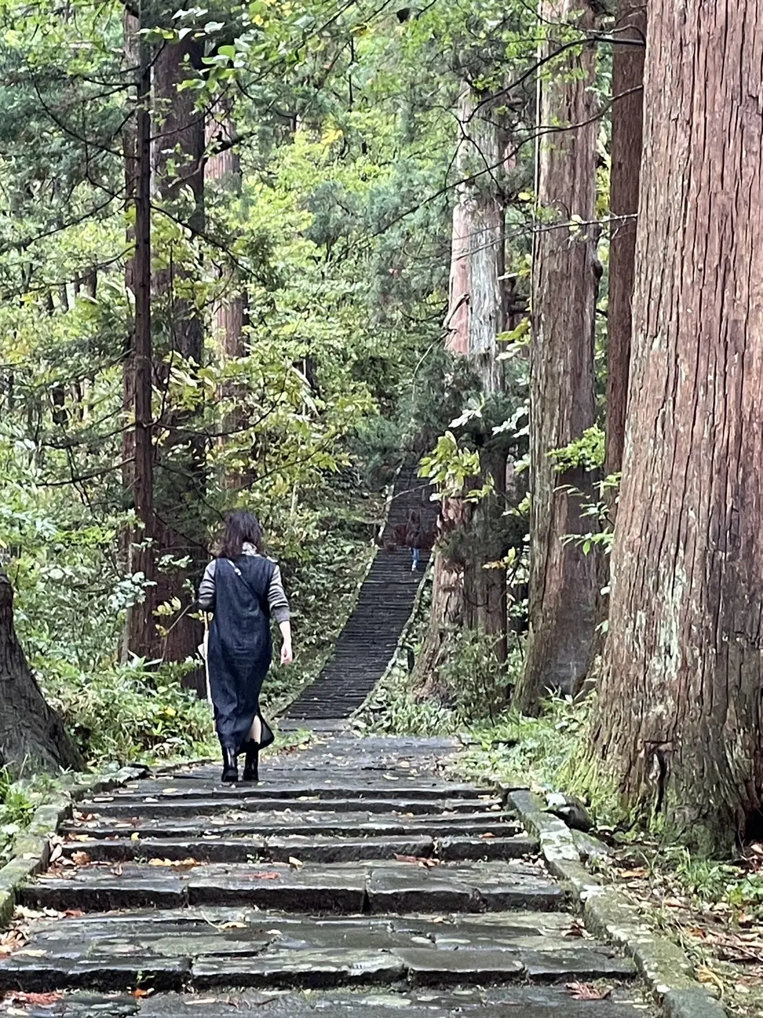 初めての山形で、羽黒山参りの画像_10