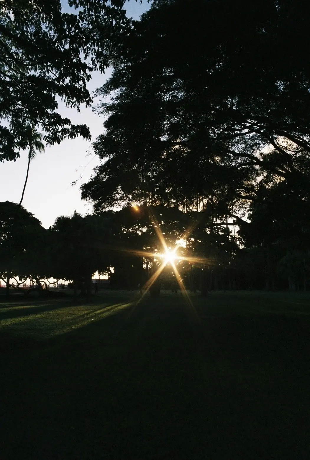 Hawaii day 7の画像_12