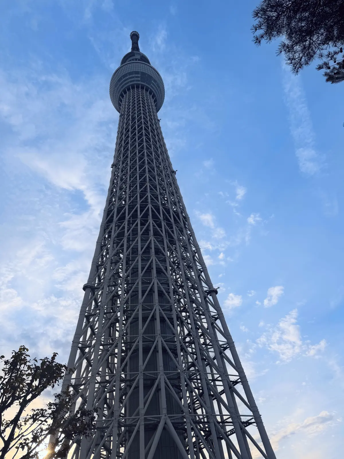 ずっと行ってみたかったスカイツリーに行っの画像_6