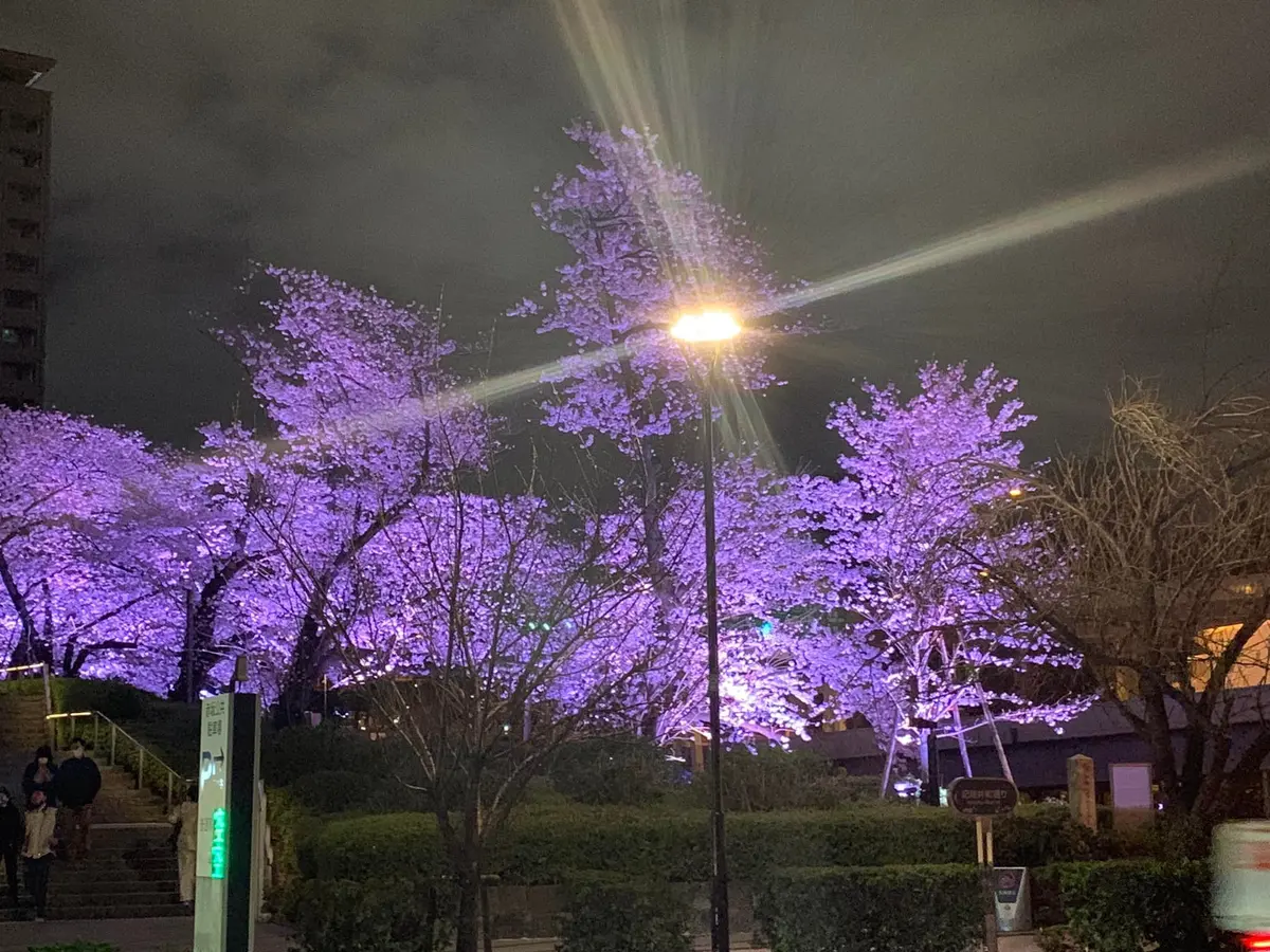 スーパーケーキを１口サイズでいろいろ楽しの画像_4